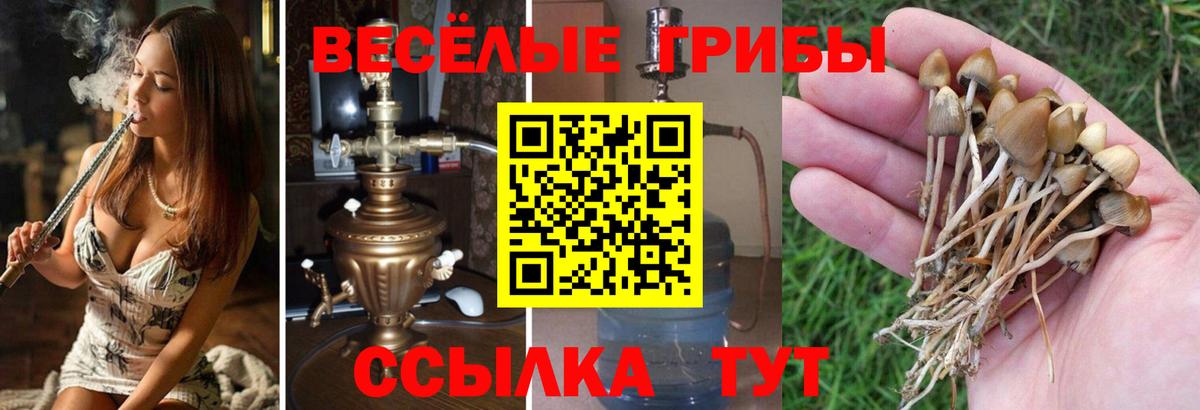 Галлюциногенные грибы прущие грибы Камышин